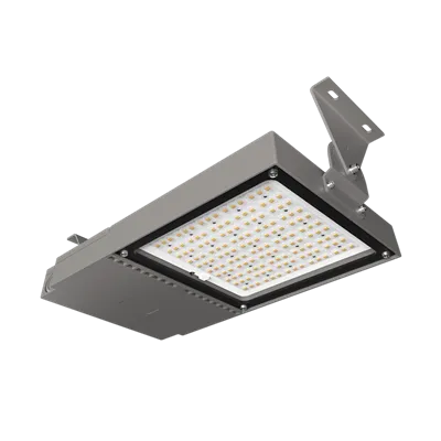 אור מנהרת LED 100 וולט